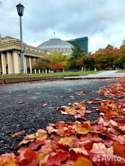 Гид экскурсии по Новосибирску