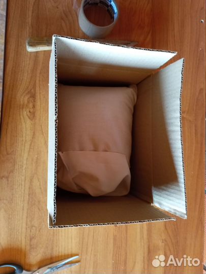 Чага березовая от сборщика