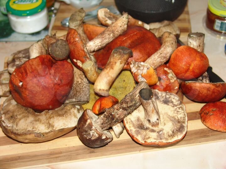 Участок 8 сот. (СНТ, ДНП)