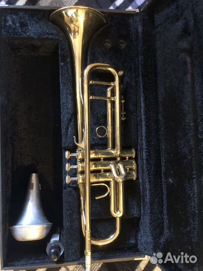 Труба blessing ml 1