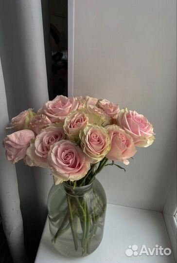 Живые цветы букеты розы