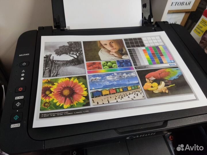 Принтер цветной мфу