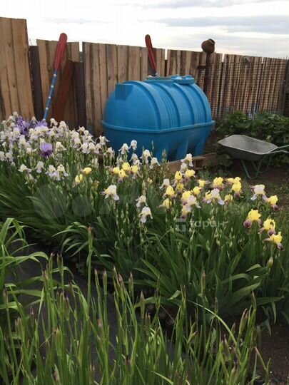 Центр-питомник