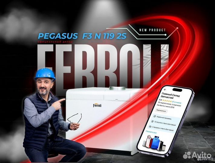 Котел газовый Ferroli Pegasus F3 N 119 2S