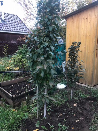 Дача 60 м² на участке 4 сот.