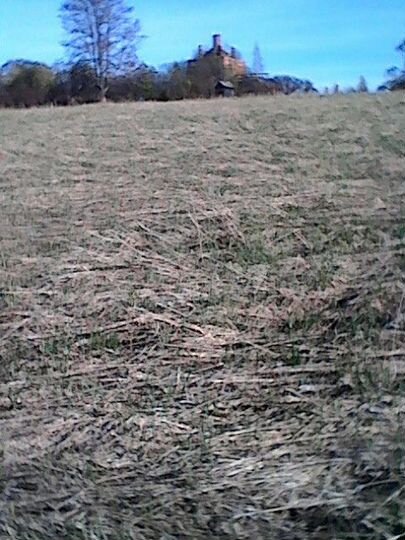 Участок 4,6 га (СНТ, ДНП)