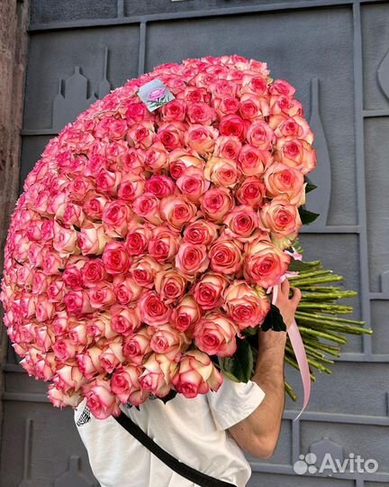 151роза 70см С доставкой/ Букет 151 розы