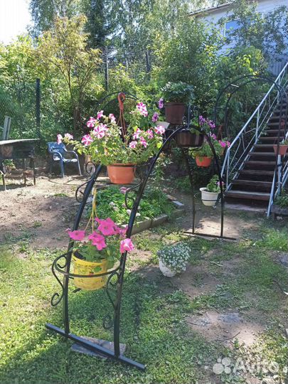 Арка для петуний