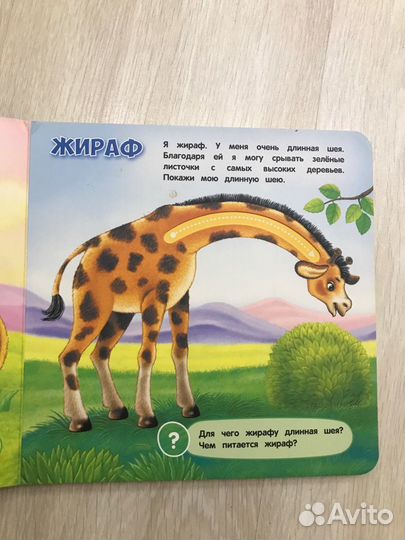 Животные