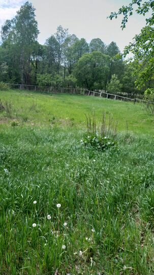 Дом 50 м² на участке 26 сот.