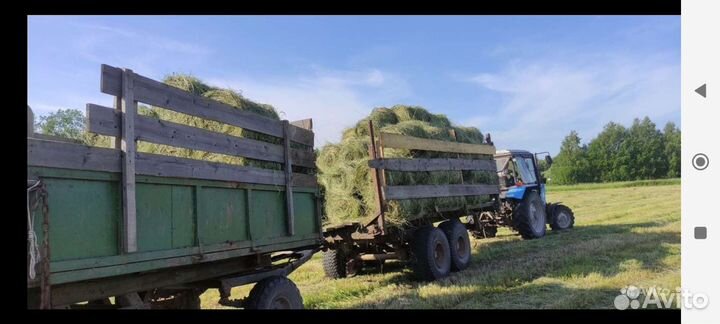 Продам сено в мини рулонах