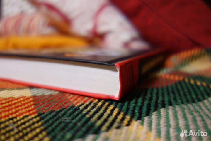 Был ли Бог математиком Марио Ливио