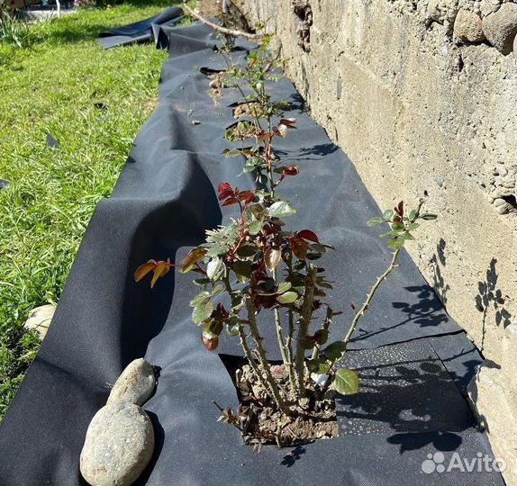 Геотекстиль без посредников