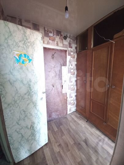 1-к. квартира, 24,1 м², 12/12 эт.