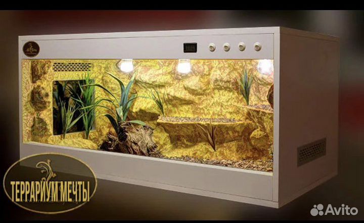 Террариум