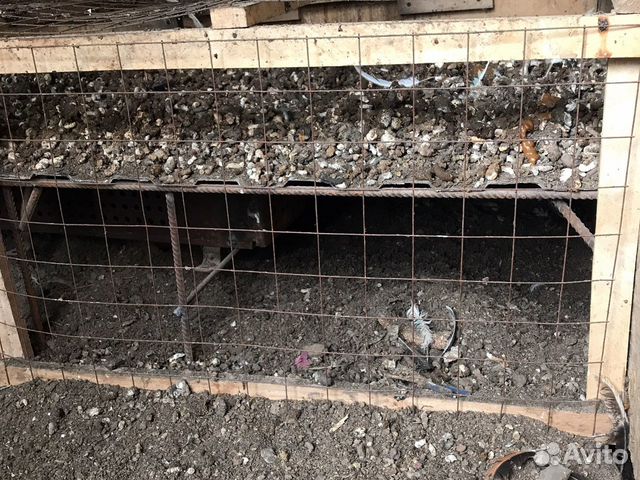 Куриный навоз (помёт) сухой в мешках