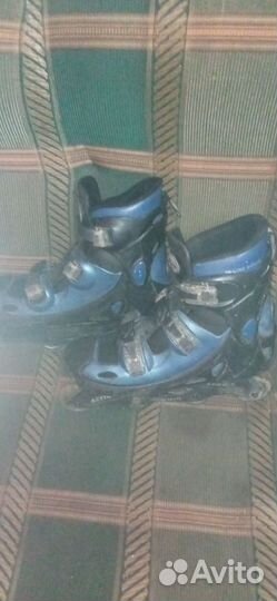 Ролики для взрослых