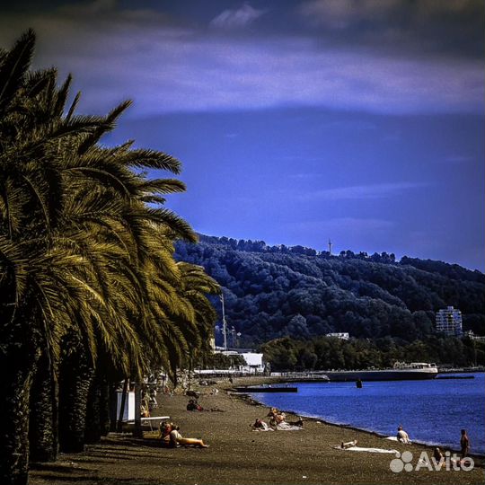 Туры в Сочи / Отдых на Чёрном море