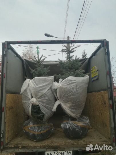 Грузоперевозки частник