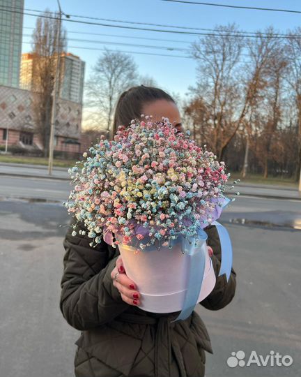 Коробочки с Радужной Гипсофилой. Цветы для Девушки