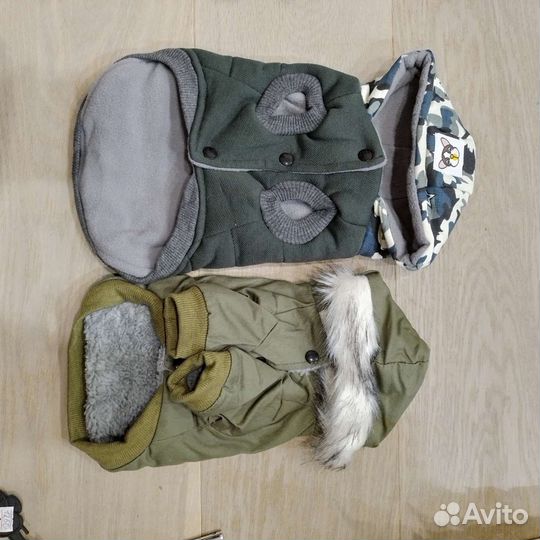 Одежда для собак