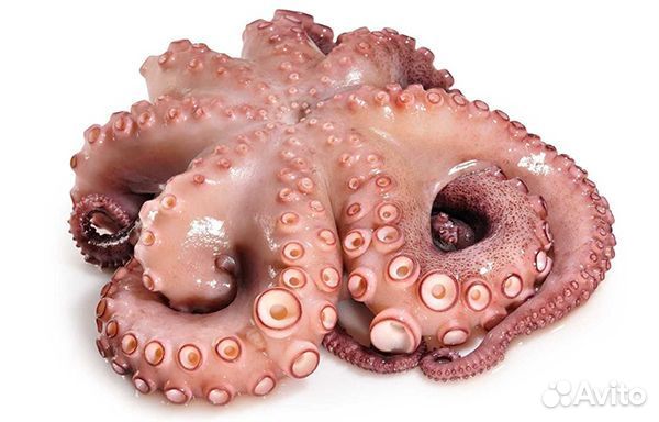 Икра Красная. Осьминог с/м очищенный