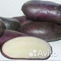 Картофель