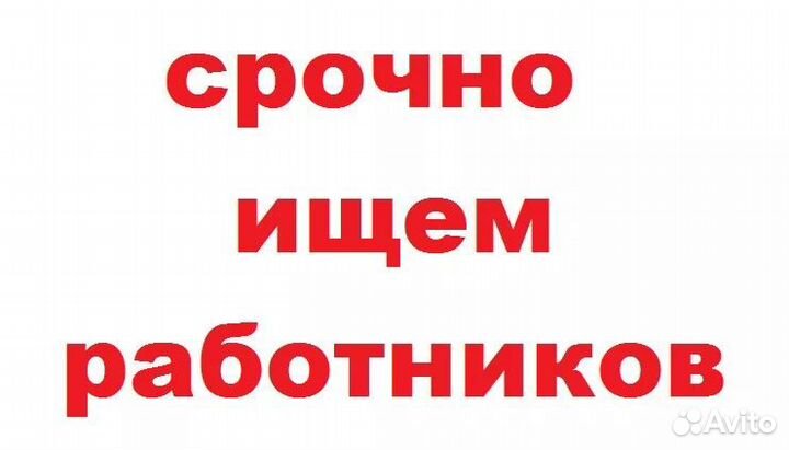 Прессовка картона Софрино