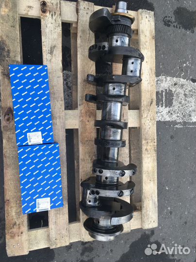 Коленвал ямз 238 стандарт №1831719