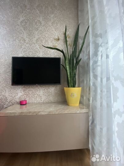 Сансевиерия, щучий хвост