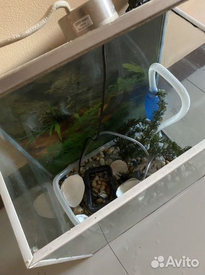 Аквариум