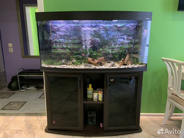 Аквариум вместе с рыбами AquaPlus