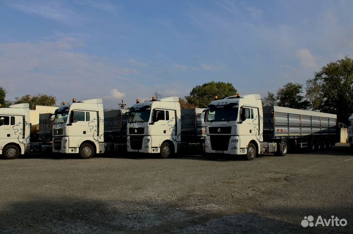 Полуприцеп зерновоз FOX Trailer Зерновоз-бортовой 4 оси, 2023