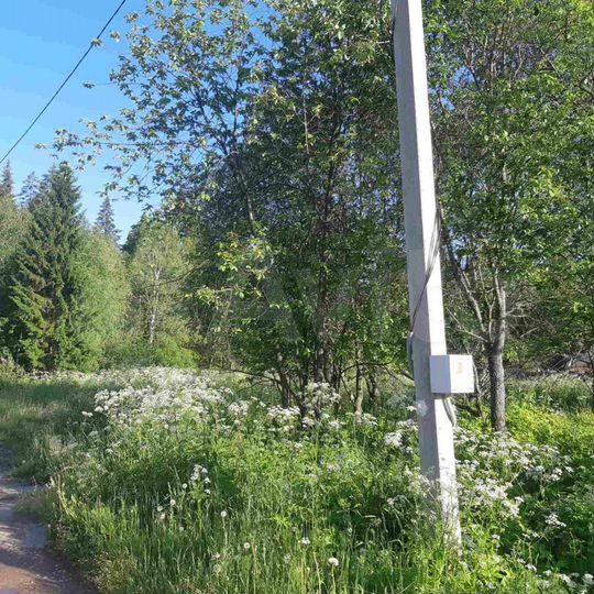 Участок 10 сот. (ИЖС)