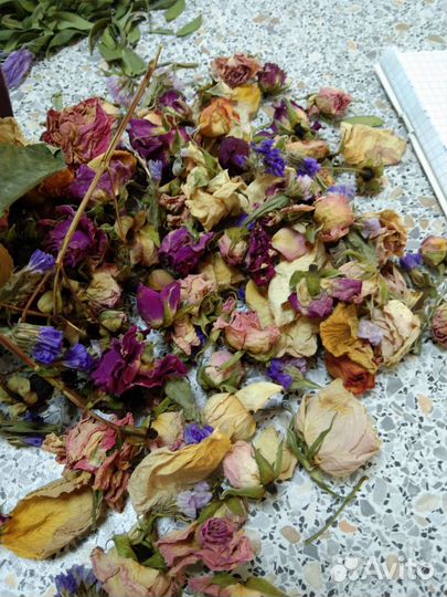 Ботаническая свеча