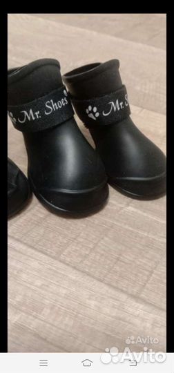 Резиновые сапоги для собак