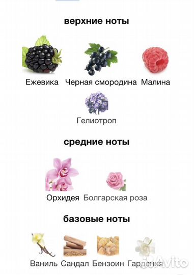 Парфюмерная вода lalique Amethyst Exquise