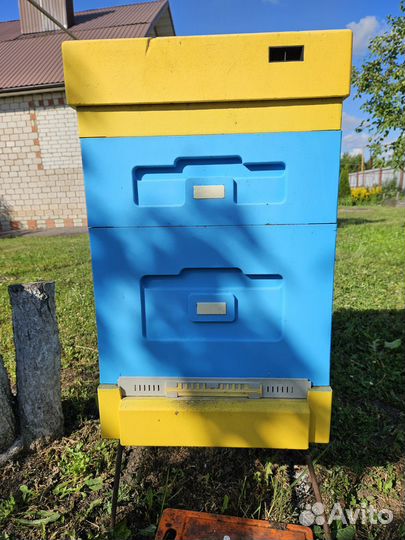 Ульи дадан 12-ти рамочные