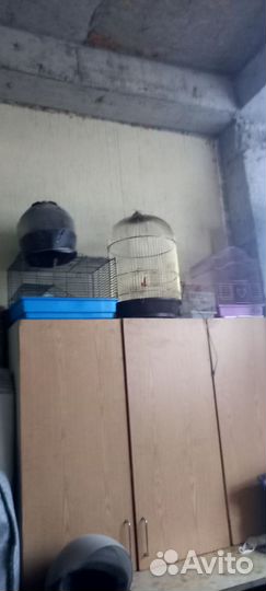 Клетка для попугая