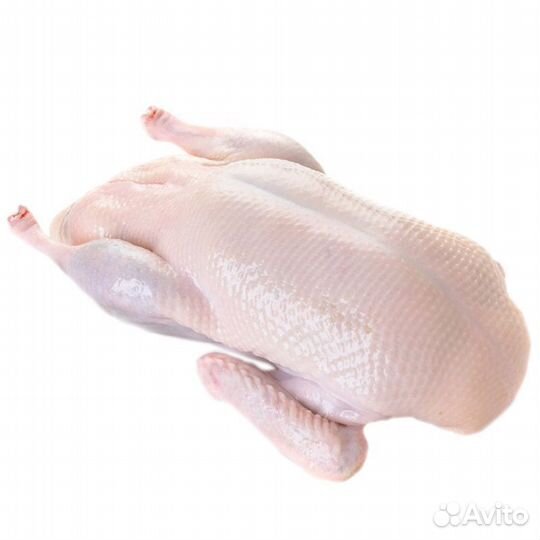 Мясо домашней индейки, утки, копчености, колбаса