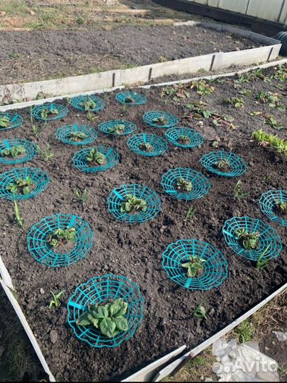 Опора - держатель - подставка Для клубники