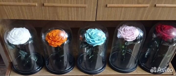 Роза в колбе кинг белая + коробка + гравировка