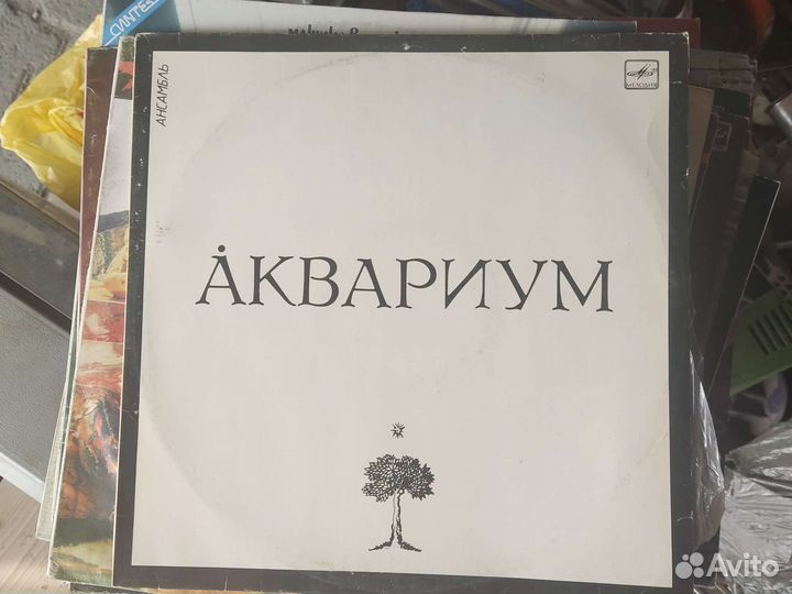 Виниловые пластинки