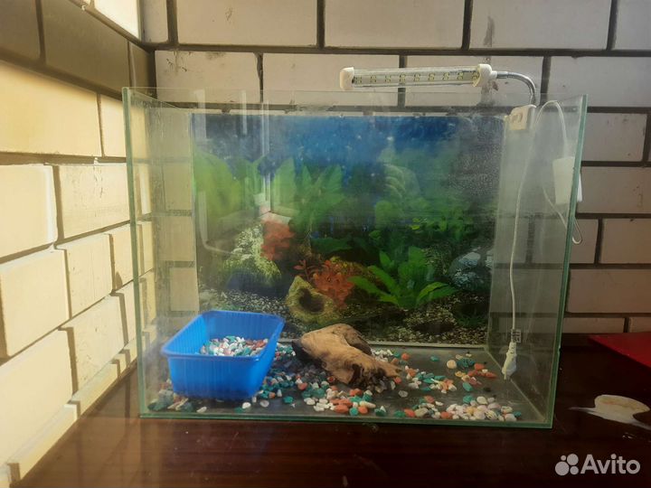 Аквариум