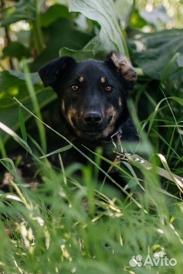 Скромная девочка