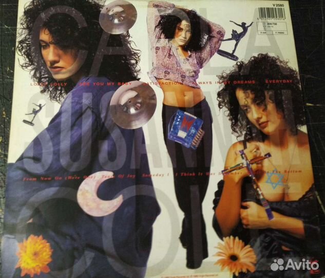 Wendy & Lisa Fruit AT The Bottom винил