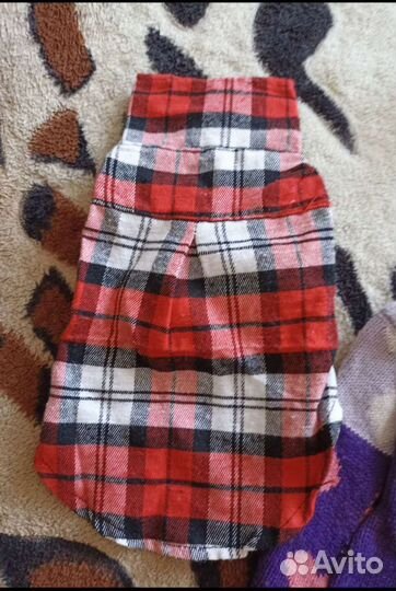 Одежда для собаки (до 3 кг)