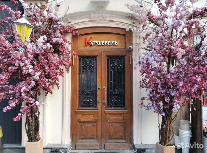 Квест-экскурсии в центре и парках