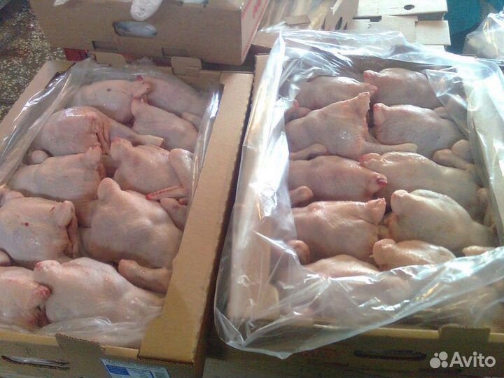 Туша Бройлера от производителя