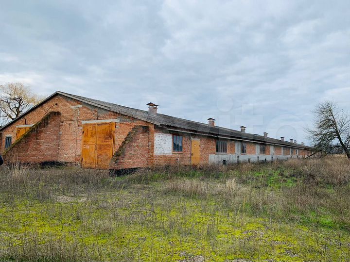 Животноводческая ферма, 3000 м²